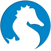 DDOS网页端源码